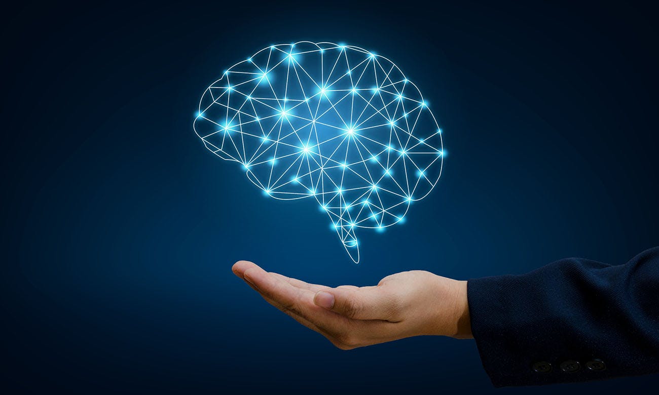 66aa7317d711e6a3624759c5 Dreamstime M 117574278 1300