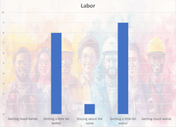 labor labor
