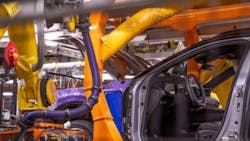 6706b0df490ae077c7586aed Gm Plant 1 6706b0df490ae077c7586aed Gm Plant 1