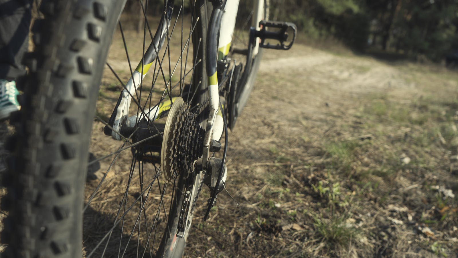 6723a529510a34ec1ddab2e0 Bikedreamstime L 177426548