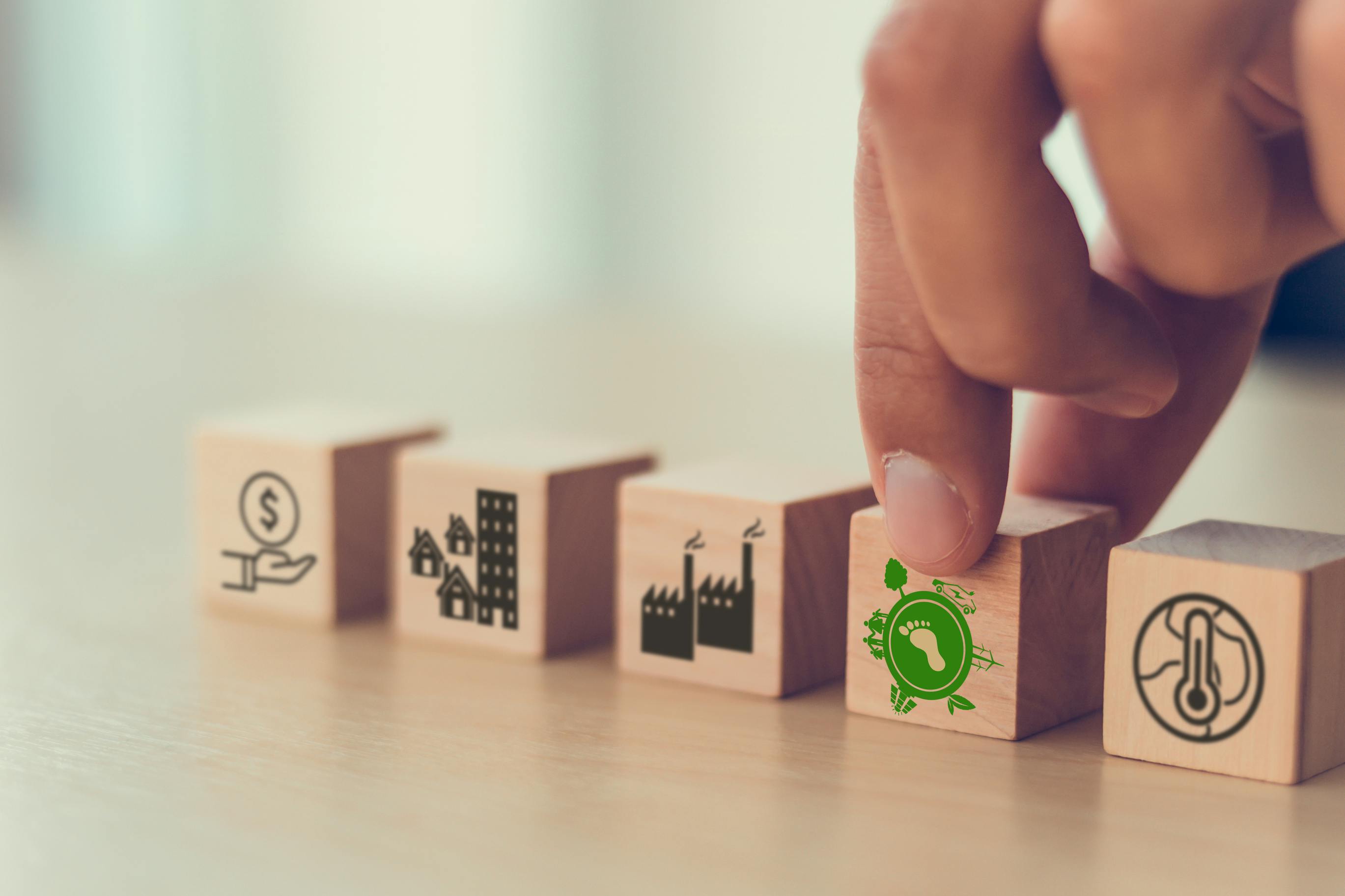 6752034eec527bae11dcda53 Dreamstime L 244566102 1