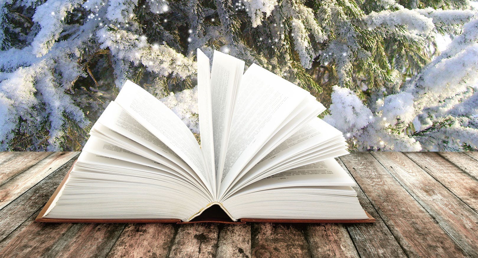 open book on table outdoors in winter setting