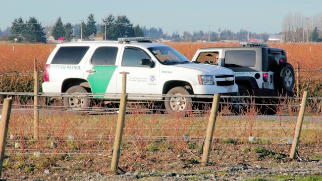 67a2d0b38e265644228f5229 Iceimmigrationsandcustomsenforcementvans50316708mo