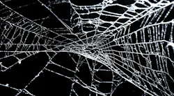 light spider web against a dark background
