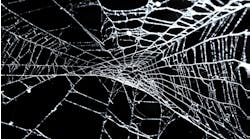 light spider web against a dark background light spider web against a dark background