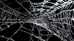 light spider web against a dark background light spider web against a dark background