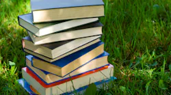 Stack of books on green grass
