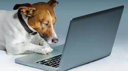 dreamstime_xl_23851888 dreamstime_xl_23851888