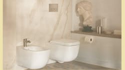 69306cf8656f331b30e7f43d Duravit Toilets 69306cf8656f331b30e7f43d Duravit Toilets