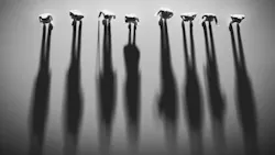 Viewed from above, a group of people casting long shadows. Viewed from above, a group of people casting long shadows.