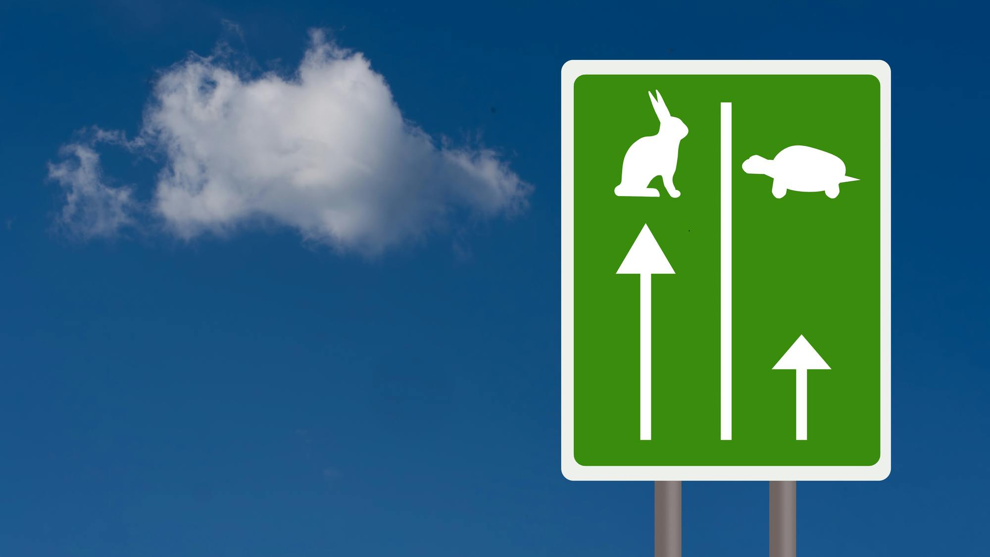 Hare and Tortoise fast and slow