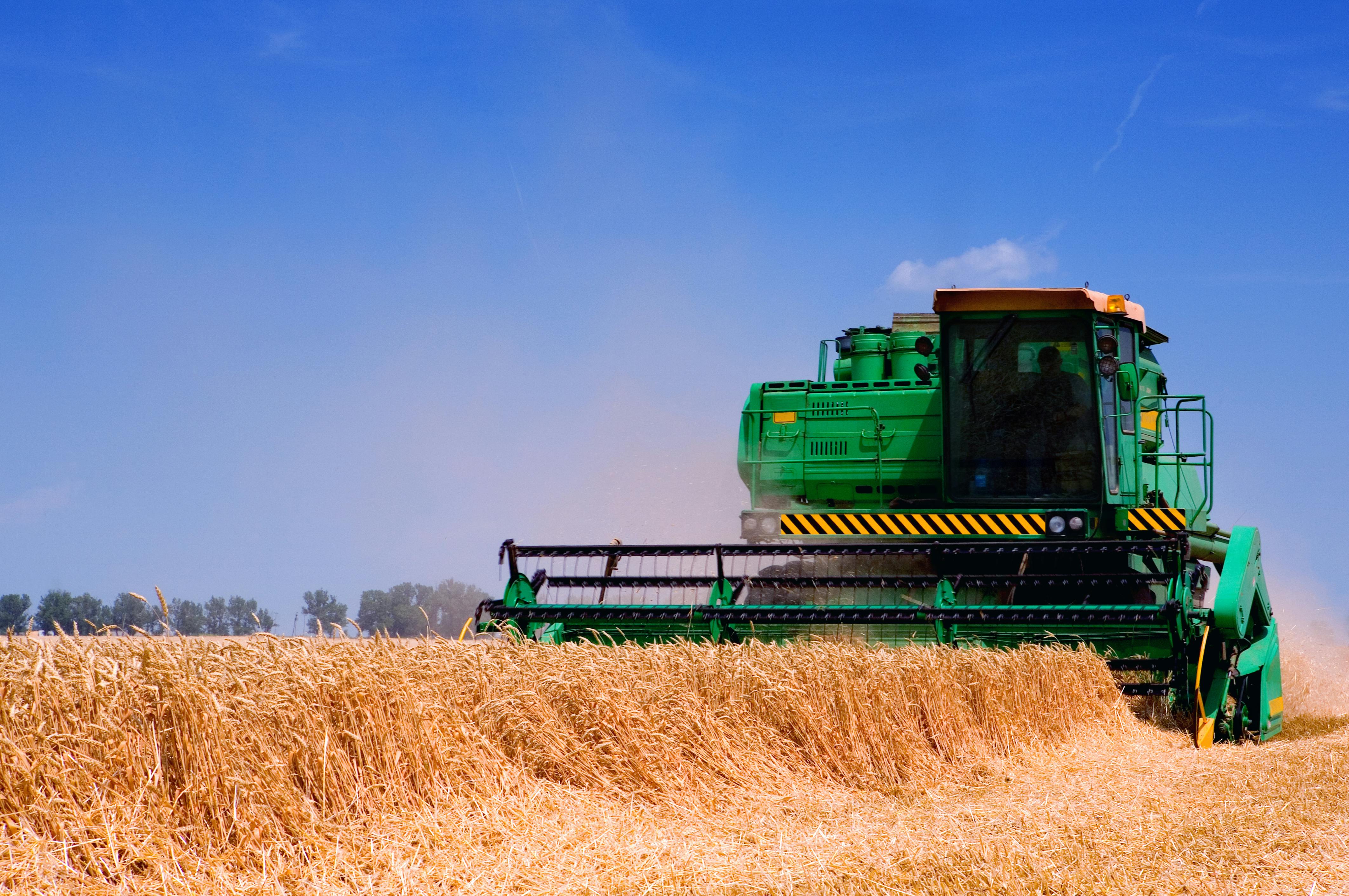 Green farm equipment harvesting wheat in a field with a blue sky background