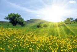 6a4ffbe9a9bb95375c41e7c8 Dreamstime Xl 9505434