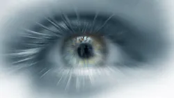 close-up of human eye