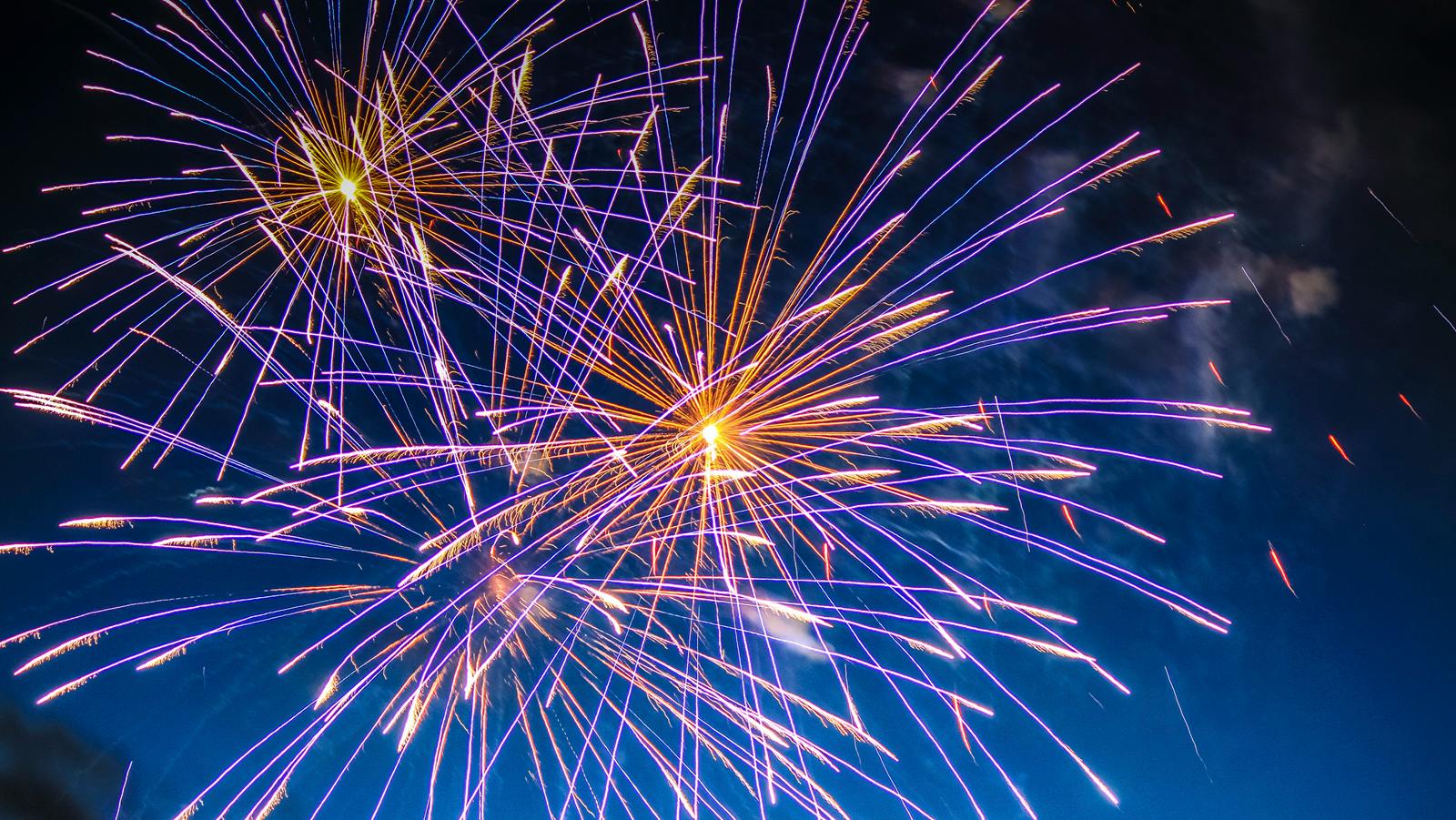 fireworks shooting off in the dark sky