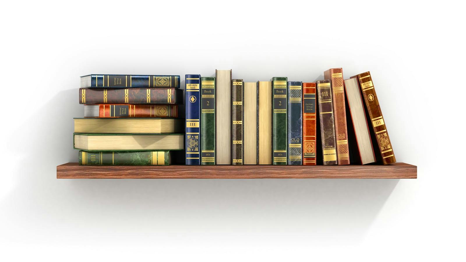 bookshelf filled with books