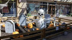 Halloween Quiz: Candy and Skelly and Pumpkins, Oh My!